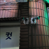 충남 아산시 오락실 설치사례